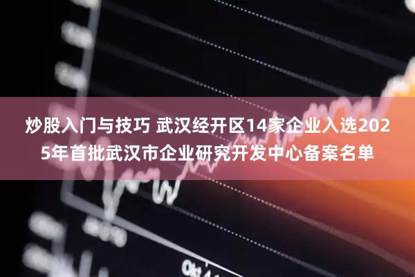 炒股入门与技巧 武汉经开区14家企业入选2025年首批武汉市企业研究开发中心备案名单